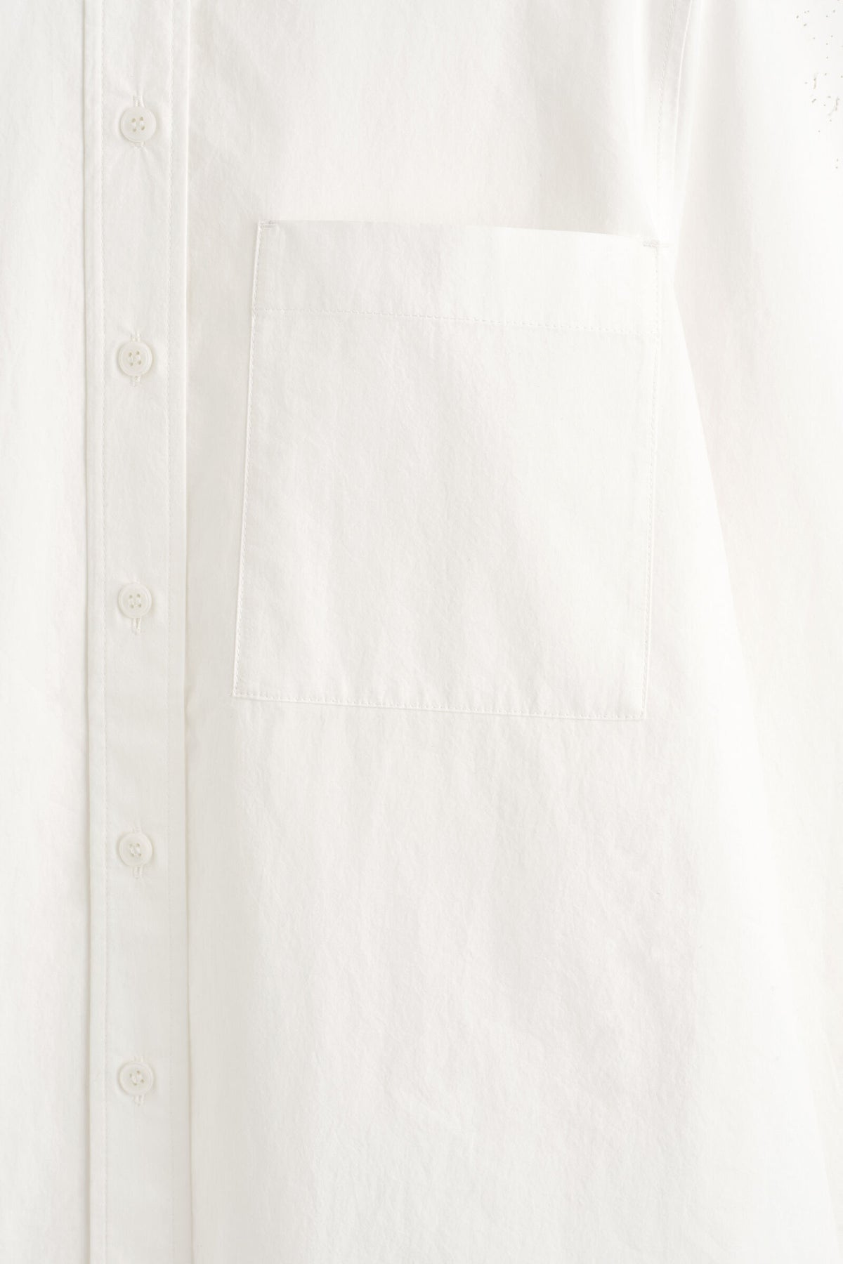 CAMISA DE ALGODÓN PIMA  - HUESO - StillMedia/DescriptiveDetail