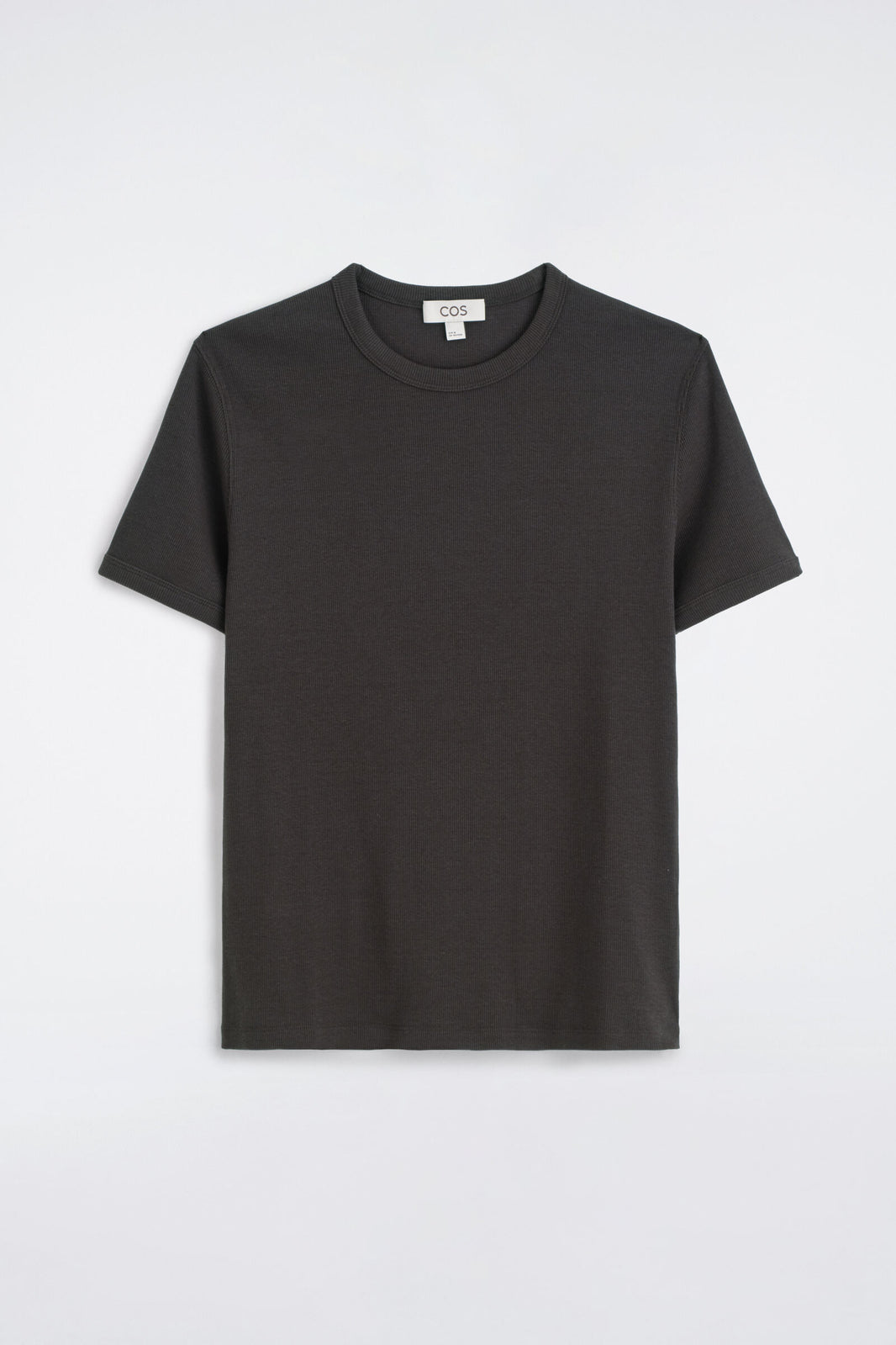 CAMISETA DE ALGODÓN SLIM ACANALADA - MARRÓN - StillMedia/DescriptiveStillLife