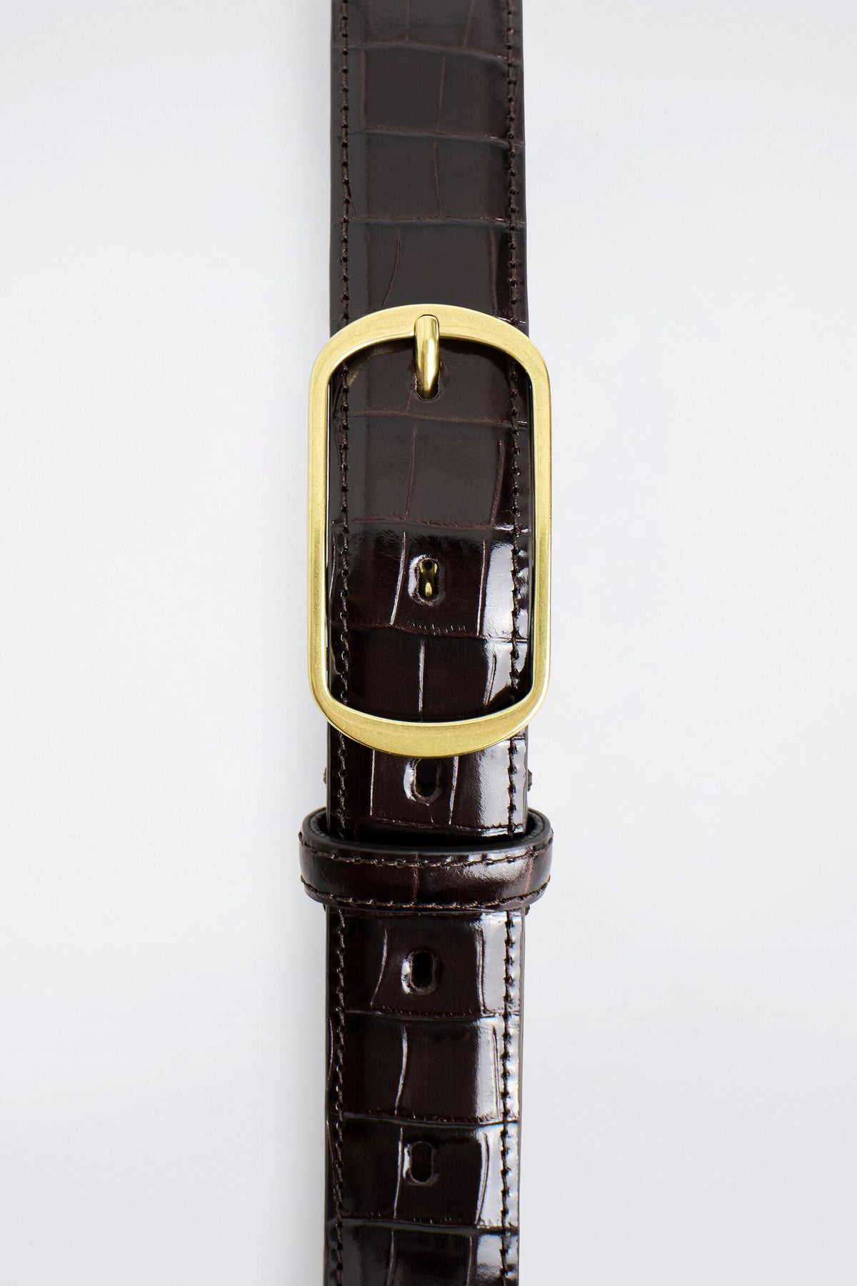 CINTURÓN DE CUERO CON HEBILLA CURVA - MARRÓN / ORO / EFECTO COCODRILO | DescriptiveDetail