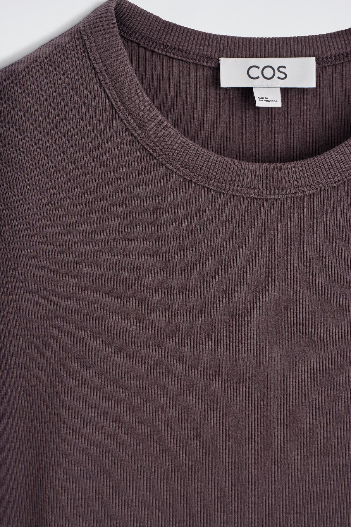 CAMISETA DE ALGODÓN SLIM ACANALADA - MARRÓN - StillMedia/DescriptiveDetail