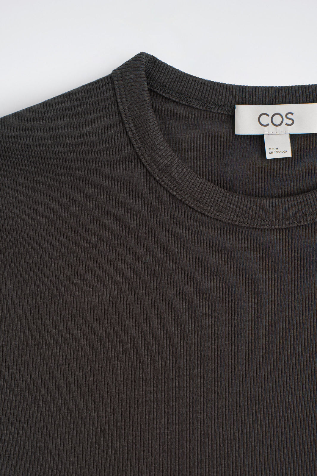 CAMISETA DE ALGODÓN SLIM ACANALADA - MARRÓN - StillMedia/DescriptiveDetail