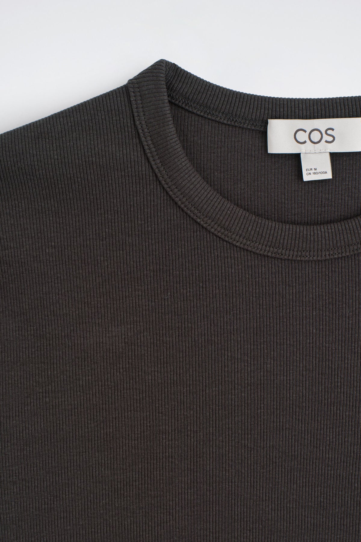 CAMISETA DE ALGODÓN SLIM ACANALADA - MARRÓN - StillMedia/DescriptiveDetail