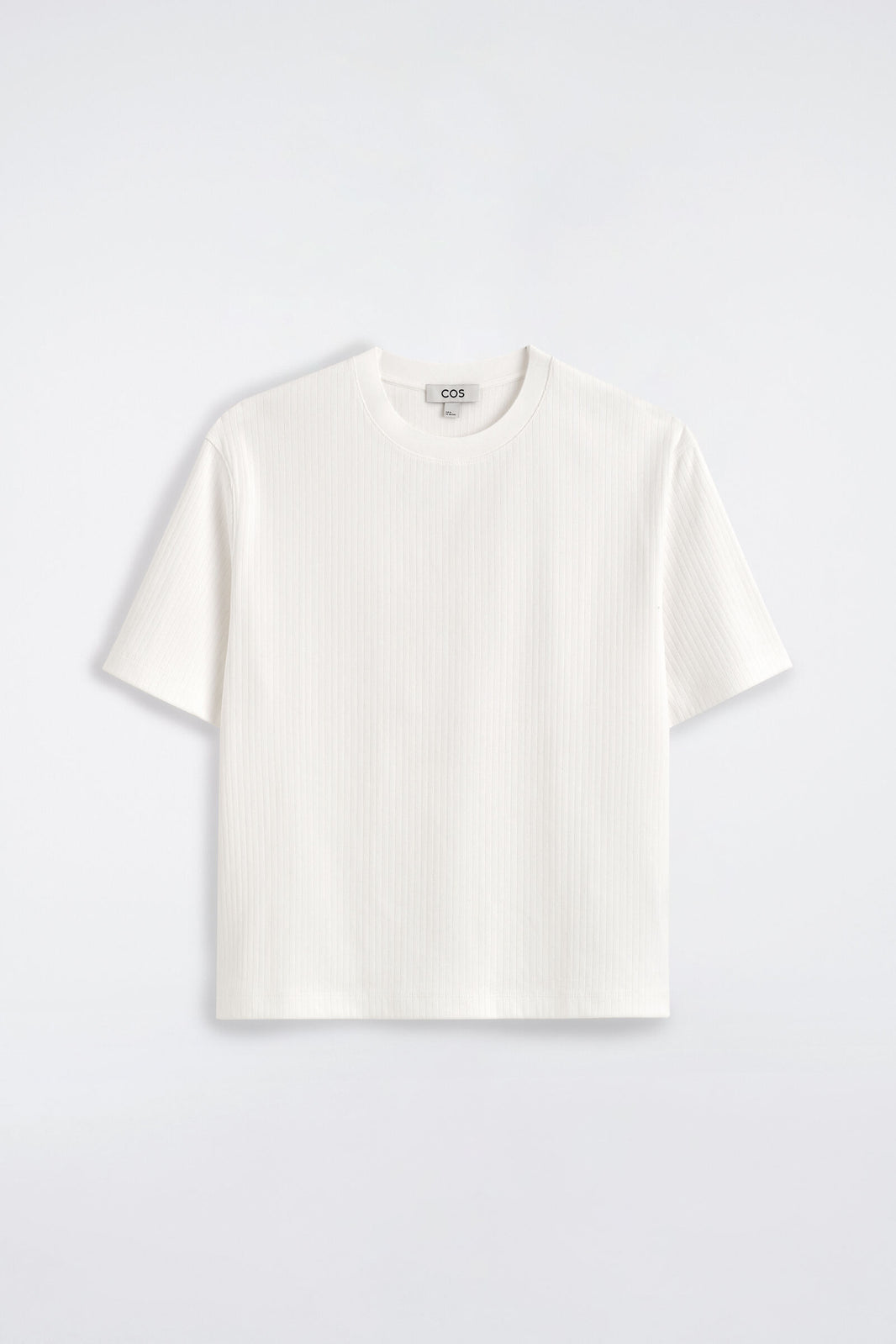PLAYERA DE JERSEY ACANALADO - BLANCO | DescriptiveStillLife