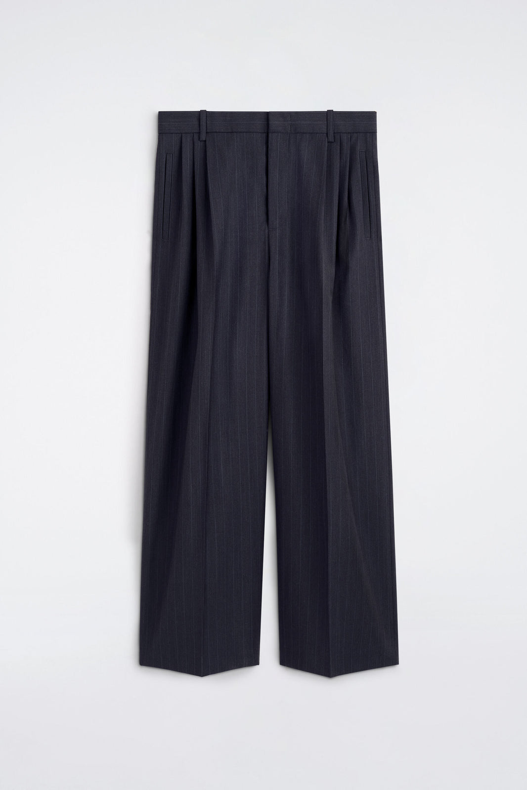 PANTALONES ANCHOS DE PLIEGUES - AZUL MARINO / RAYAS | DescriptiveStillLife